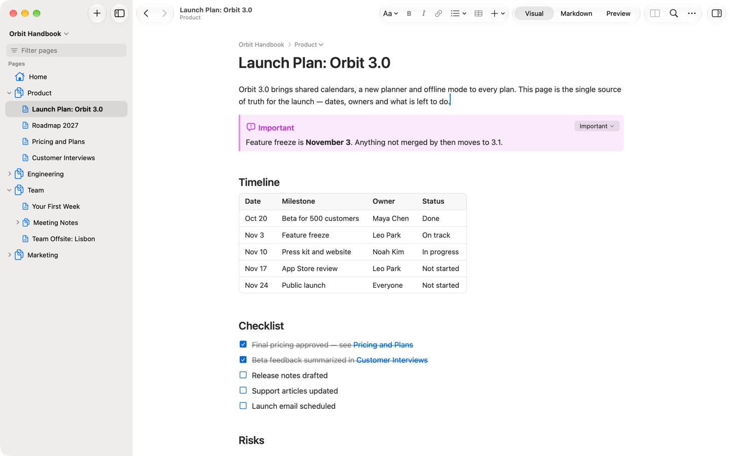 A documentation window: the page tree in the sidebar and a launch plan page in Visual.